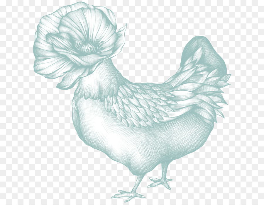 ไก่，นก PNG