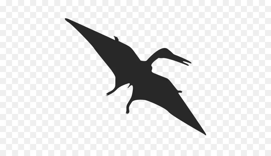 Pterosaur，การบิน PNG