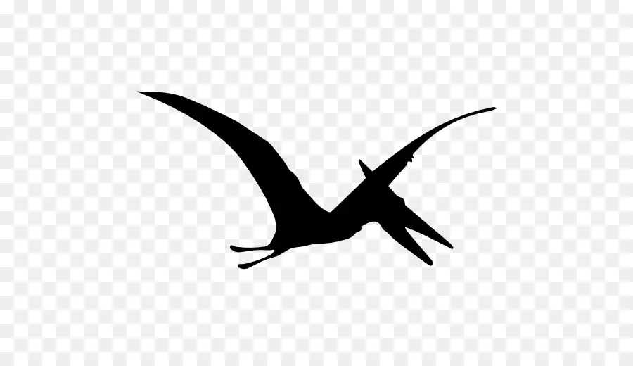 Pterosaur，การบิน PNG