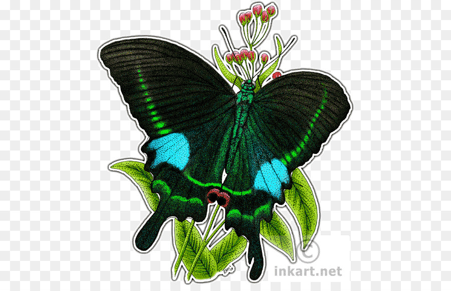 ผีเสื้อ，Papilio ปารีส PNG