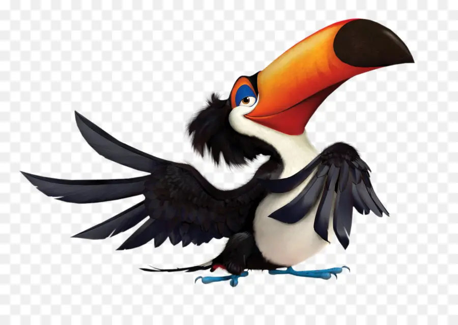 Toucan，นก PNG