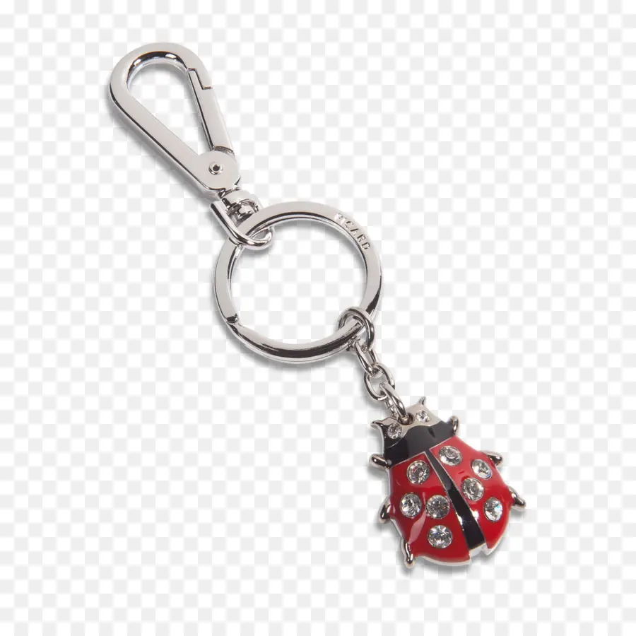 Keychain Ladybug，พวงกุญแจ PNG