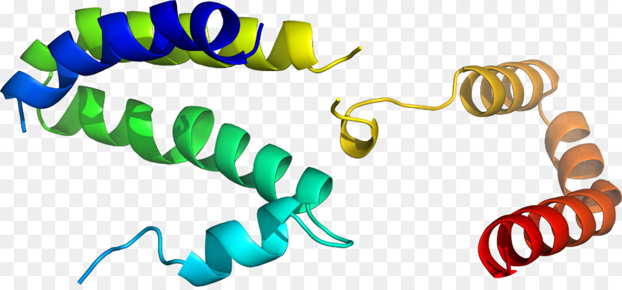 เกลียวโปรตีน，โมเลกุล PNG