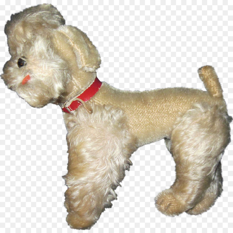 หมาพูเดิ้ล，Schnoodle PNG