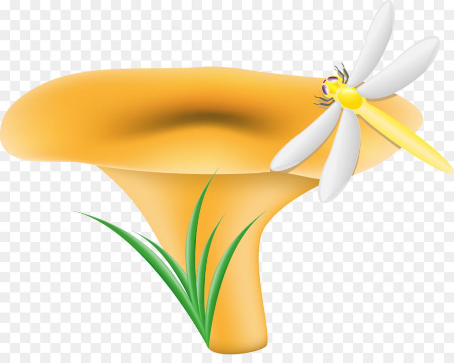 Chanterelle，หน้าเห็ด PNG