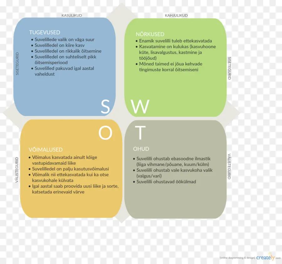 การวิเคราะห์ Swot，ธุรกิจ PNG