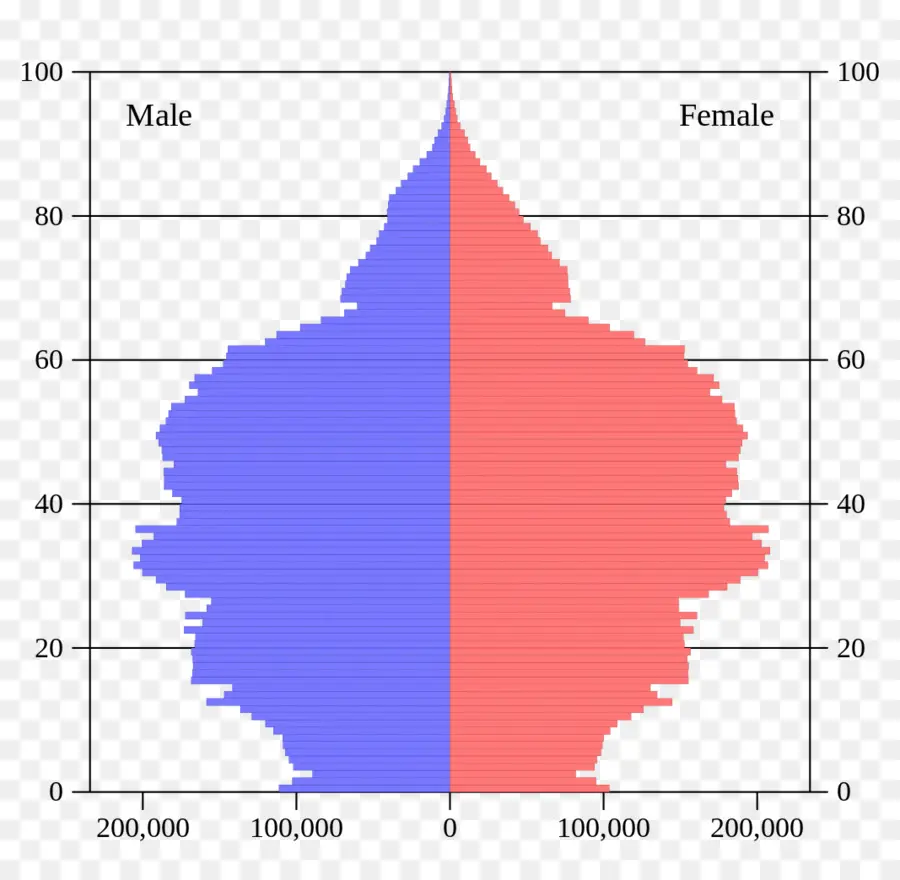 ปิรามิดประชากร，ข้อมูลประชากร PNG