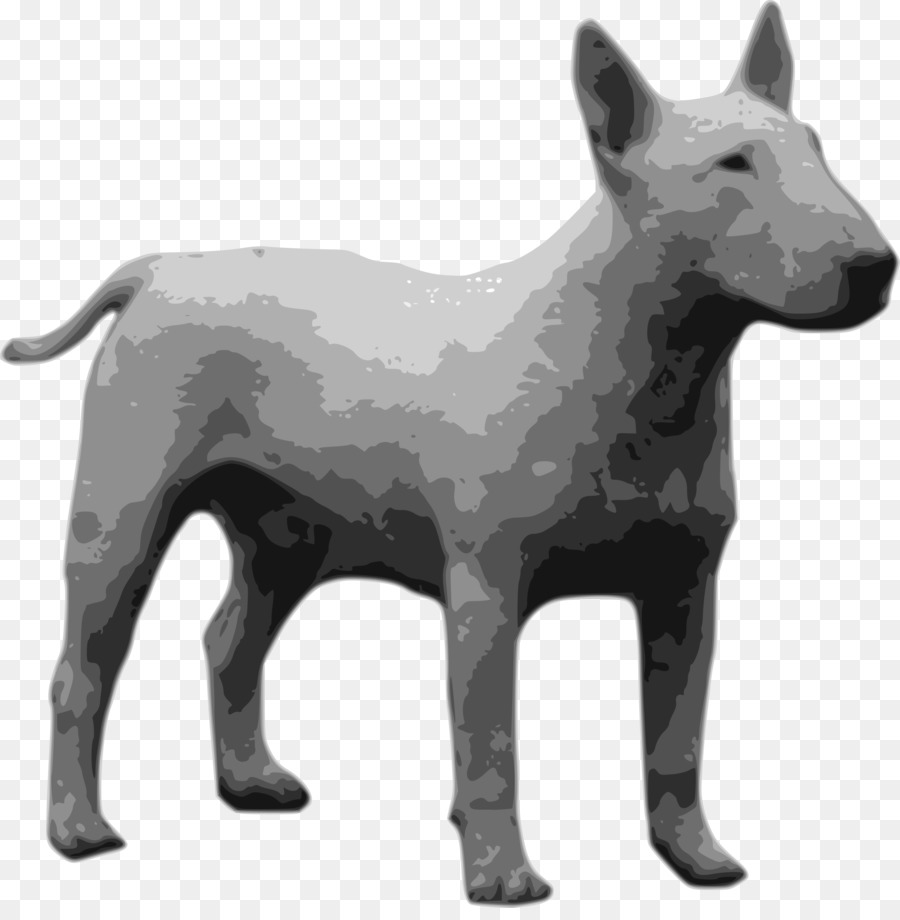 Bull Terrier，พันธุ์ PNG