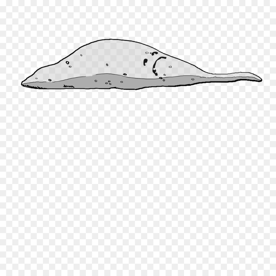 มุมมองของดอลฟิน，Porpoise PNG