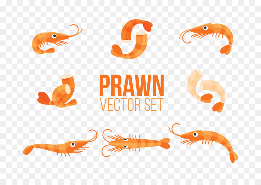 กุ้ง，การวาดภาพ PNG