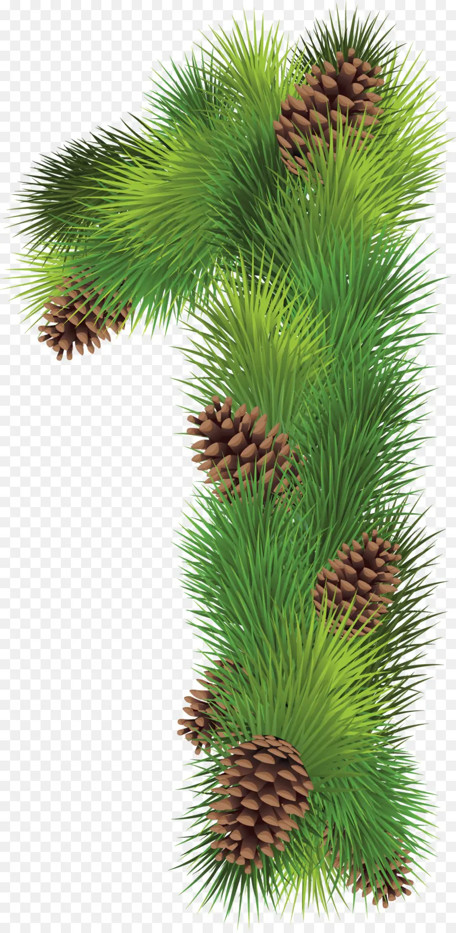 อันดับหนึ่ง，Pinecones PNG