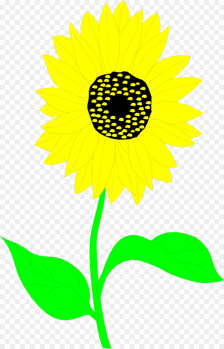 เหมือนกัน Sunflower，วาด PNG
