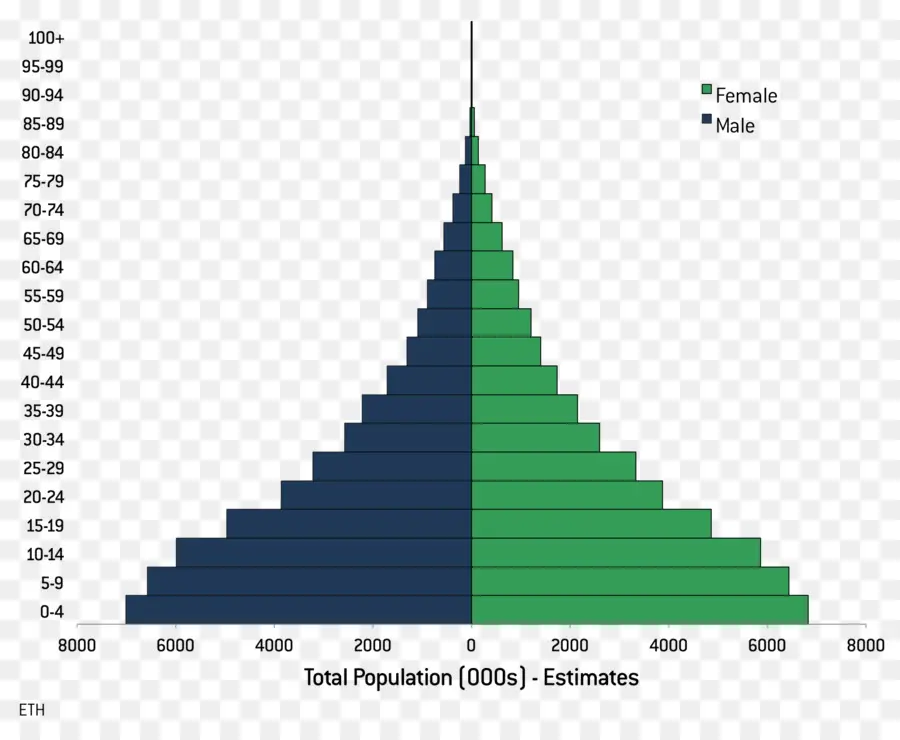 ปิรามิดประชากร，ข้อมูลประชากร PNG