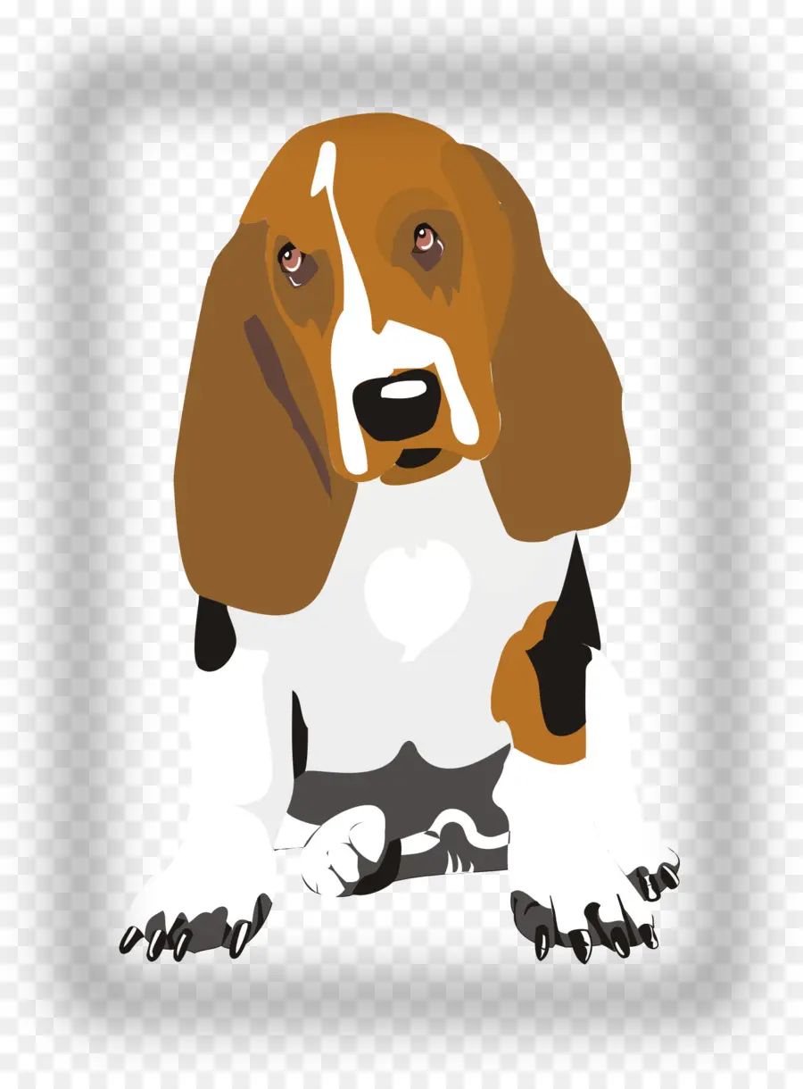 Basset Hound，กะเทย PNG