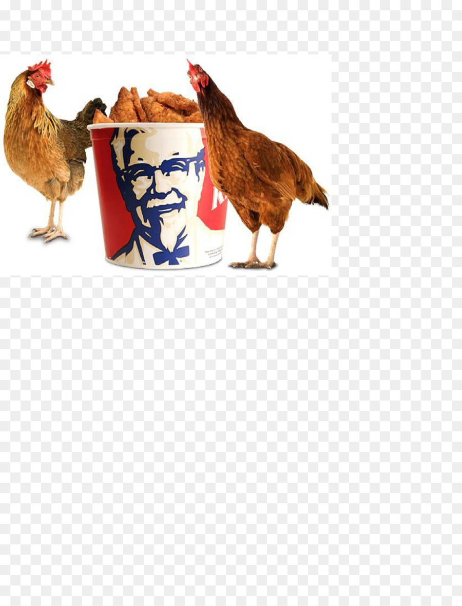 พันเอกแซนเดอร์ส，เคเอฟซี PNG