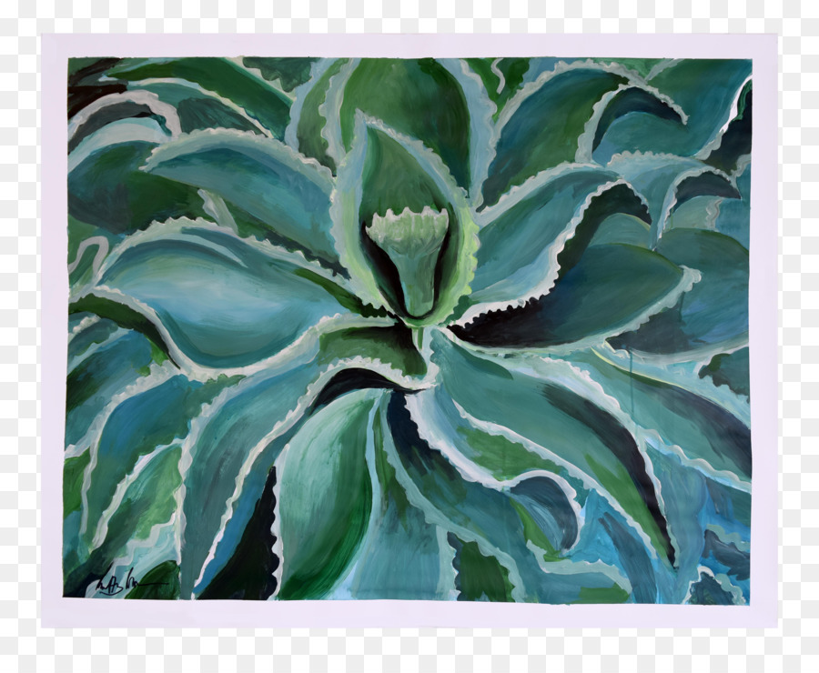 Agave Azul，Succulent ต้นไม้ PNG