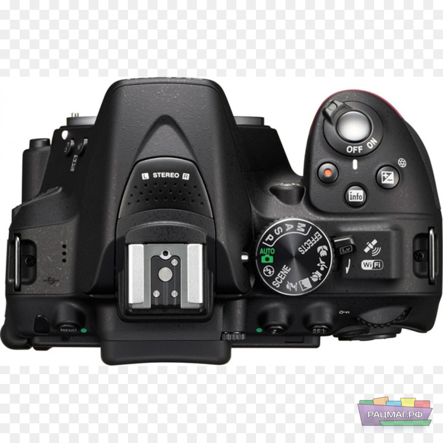 ดิจิตอล Slr，Nikon PNG