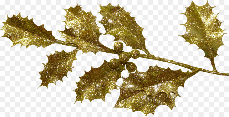 Golden Holly，ออกจาก PNG