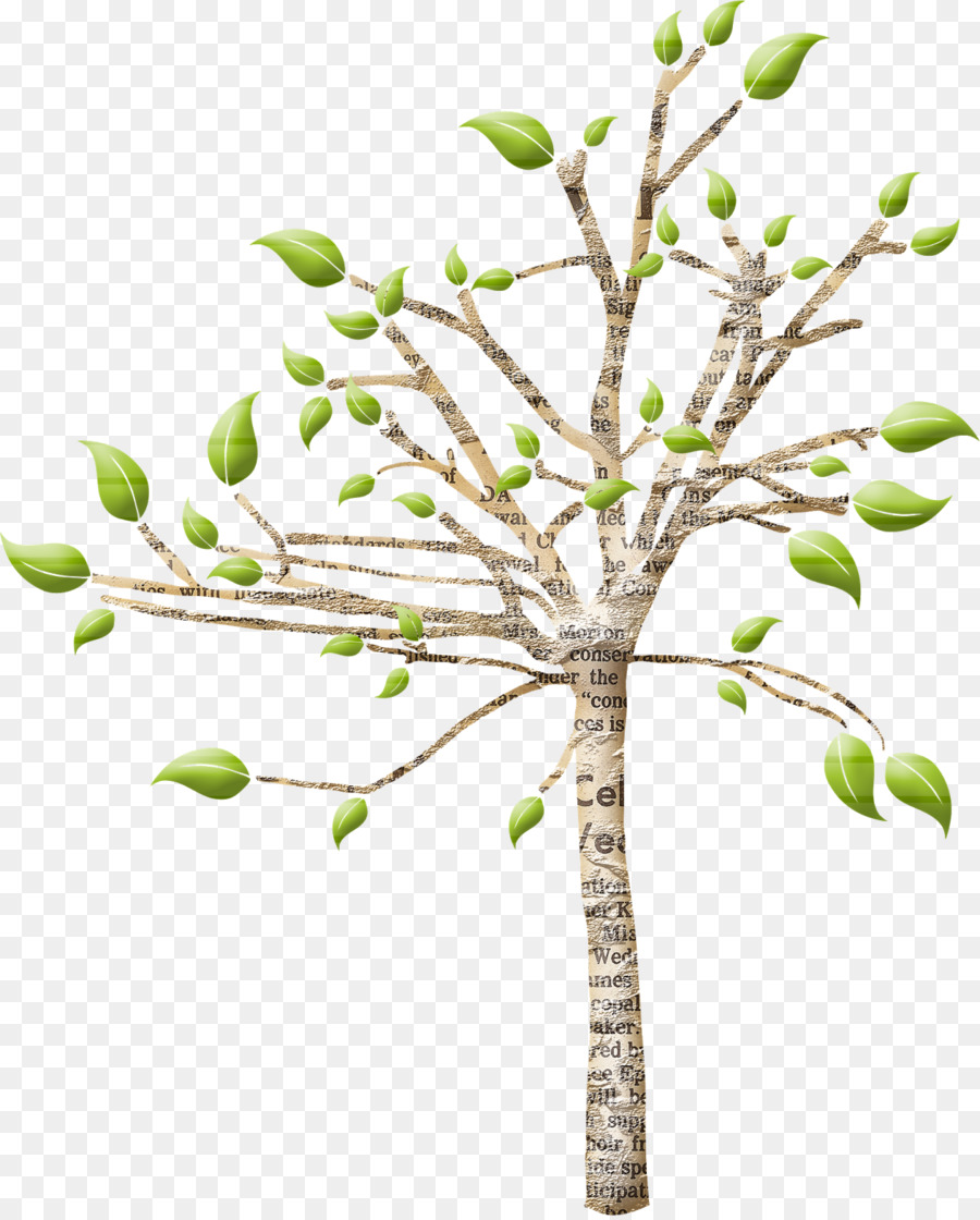 กิ่ง，ต้นไม้ PNG