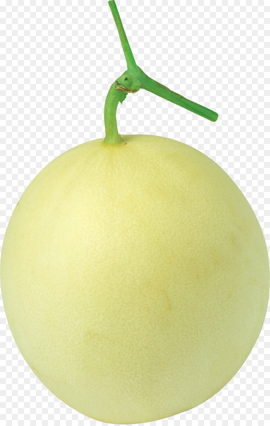 แตงโม，Honeydew PNG