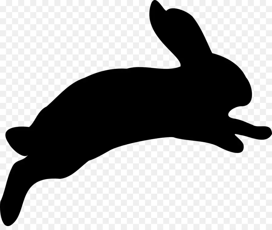 กระต่ายอีสเตอร์，การแสดงกระต่าย PNG