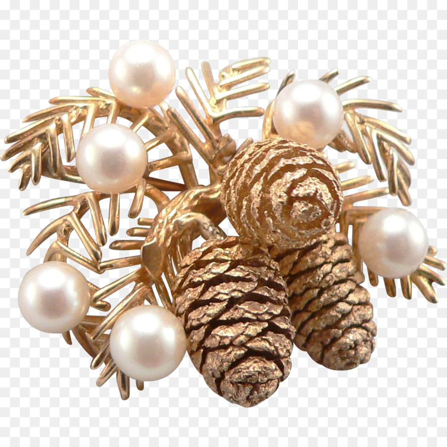 เข็มกลัด Pinecone，Pinecone PNG