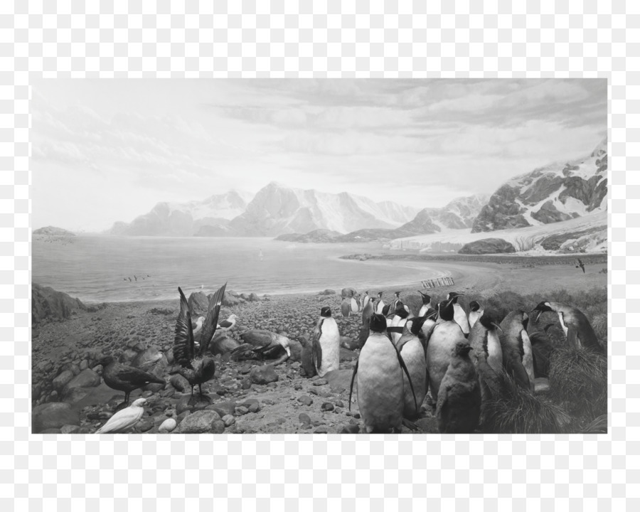 Hiroshi Sugimoto Dioramas，Hiroshi Sugimoto Black Box PNG