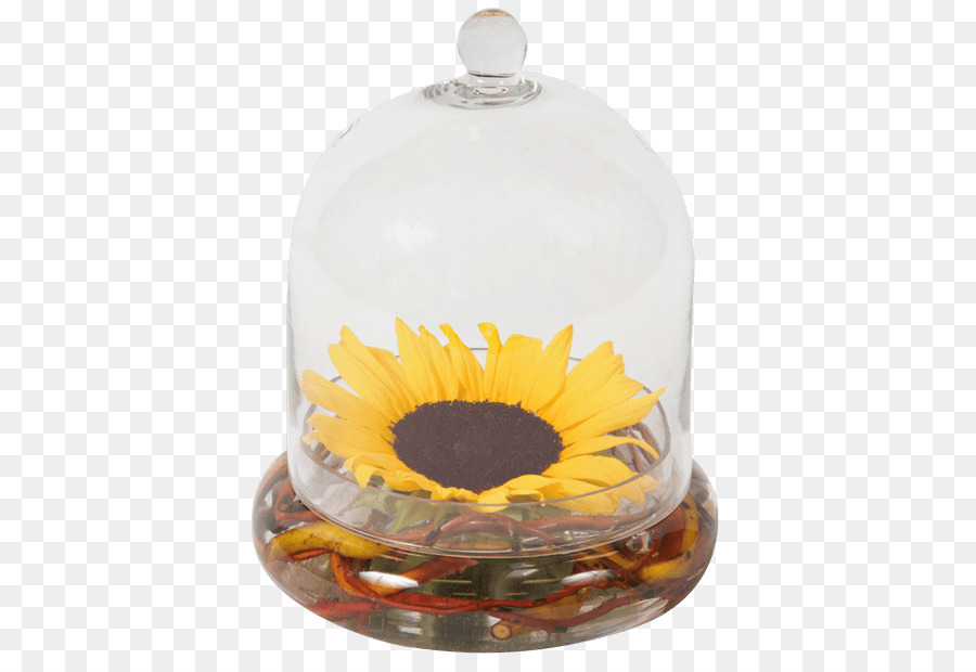 ดอกไม้，เหมือนกัน Sunflower PNG
