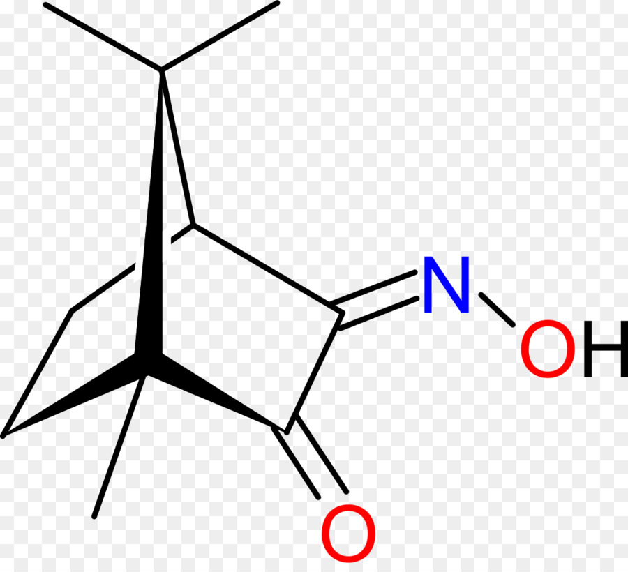 Bornane23dione，Oxime PNG