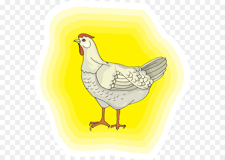 ไก่ขาว，พื้นหลังสีเหลือง PNG