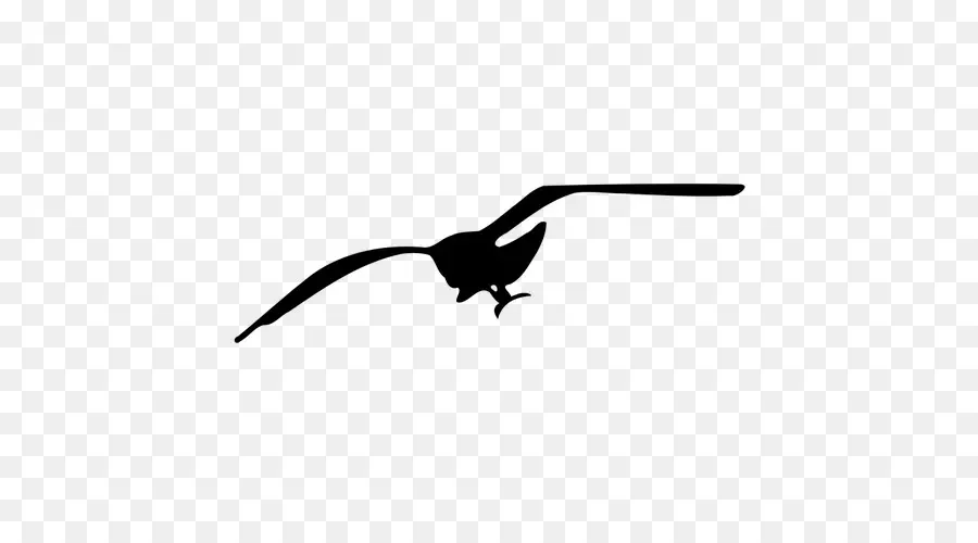 Pterosaur，การบิน PNG