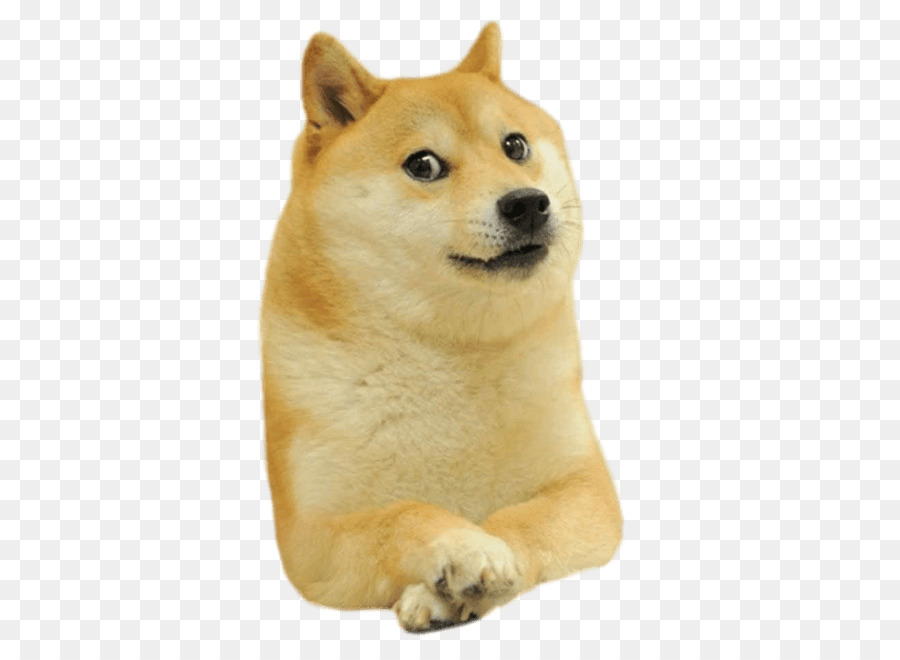 Dogecoin, Doge, ชิบะ Inu png - png Dogecoin, Doge, ชิบะ Inu icon vector