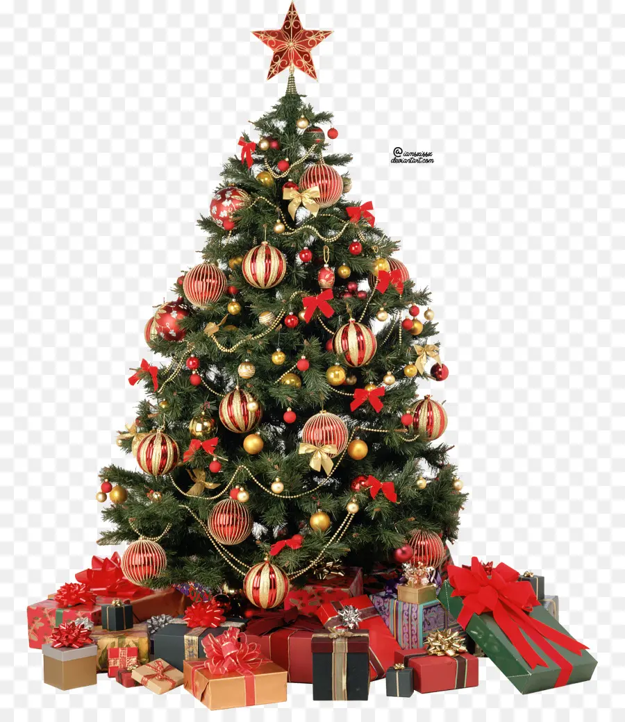 ต้นคริสต์มาส，คริสต์มาส PNG