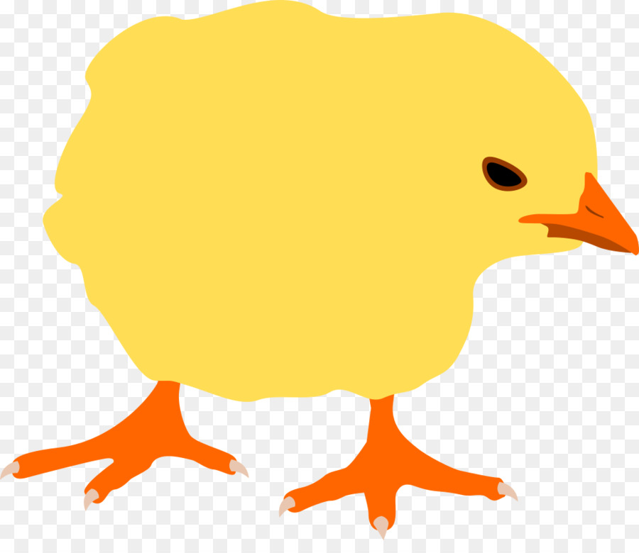 ไก่，Kifaranga PNG