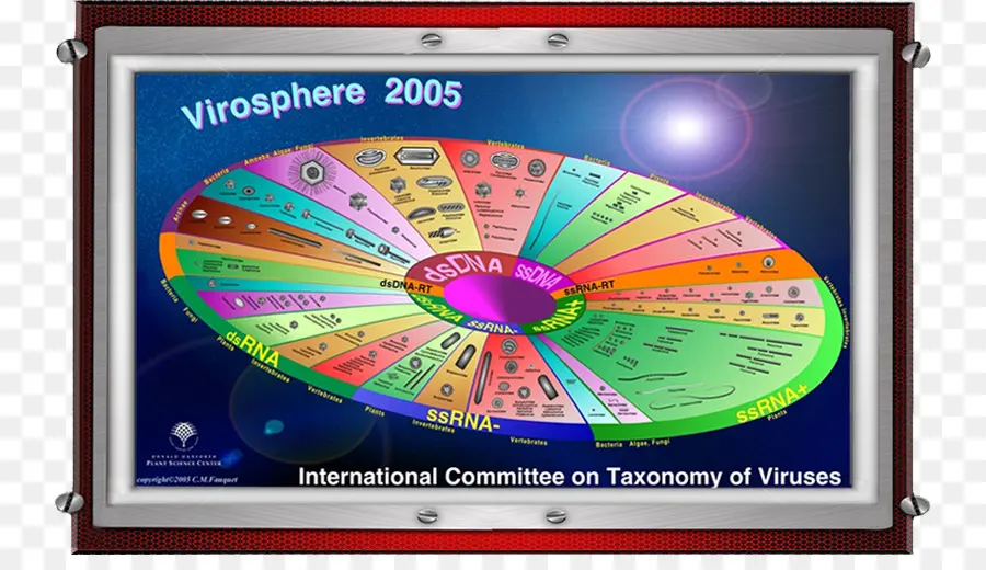 แผนภูมิ Virosphere，อนุกรมวิธาน PNG