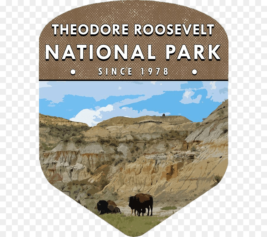 อุทยานแห่งชาติ Theodore Roosevelt，อุทยานแห่งชาติ Forest Petrified PNG