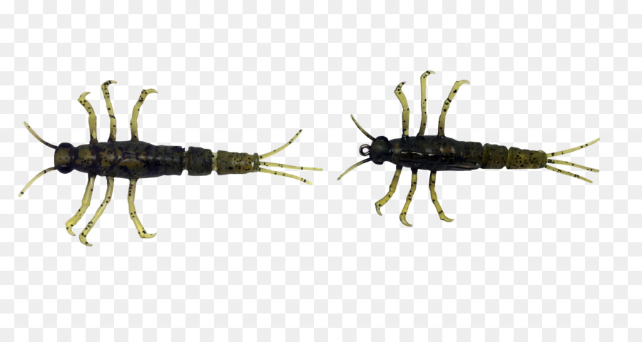 Earwigs，ข้อบกพร่อง PNG