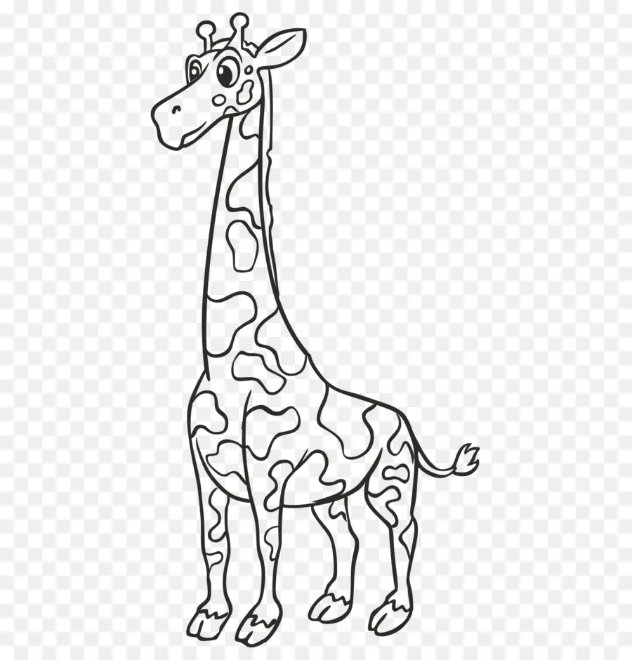 เค้าโครง Giraffe，การวาดภาพ PNG