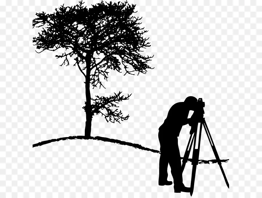 Surveyor Silhouette，ต้นไม้ PNG