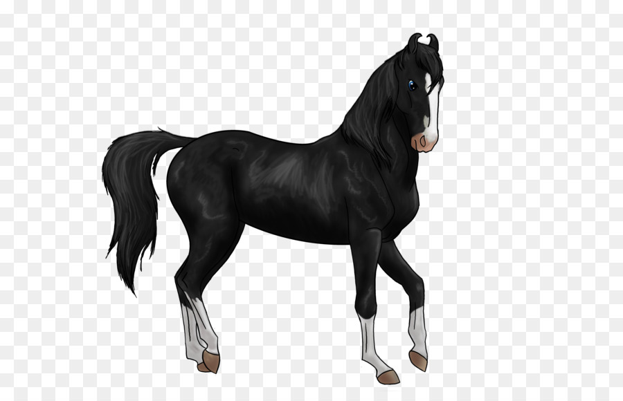 ม้า，Foal PNG