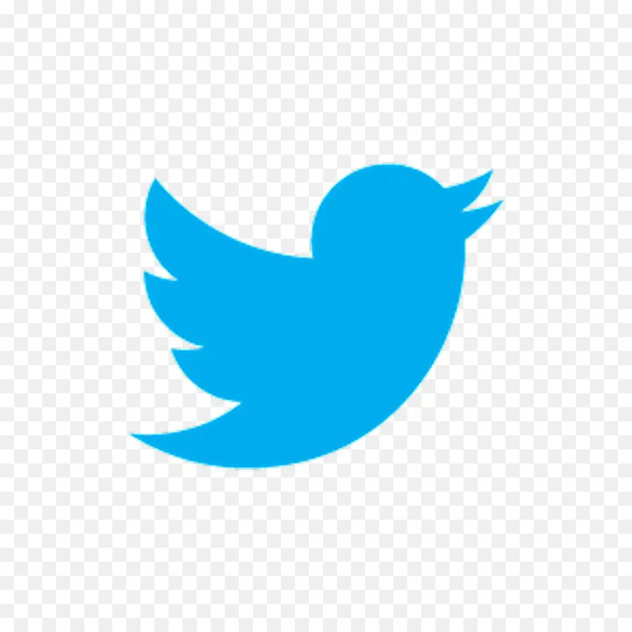 นกสีฟ้า，Twitter PNG