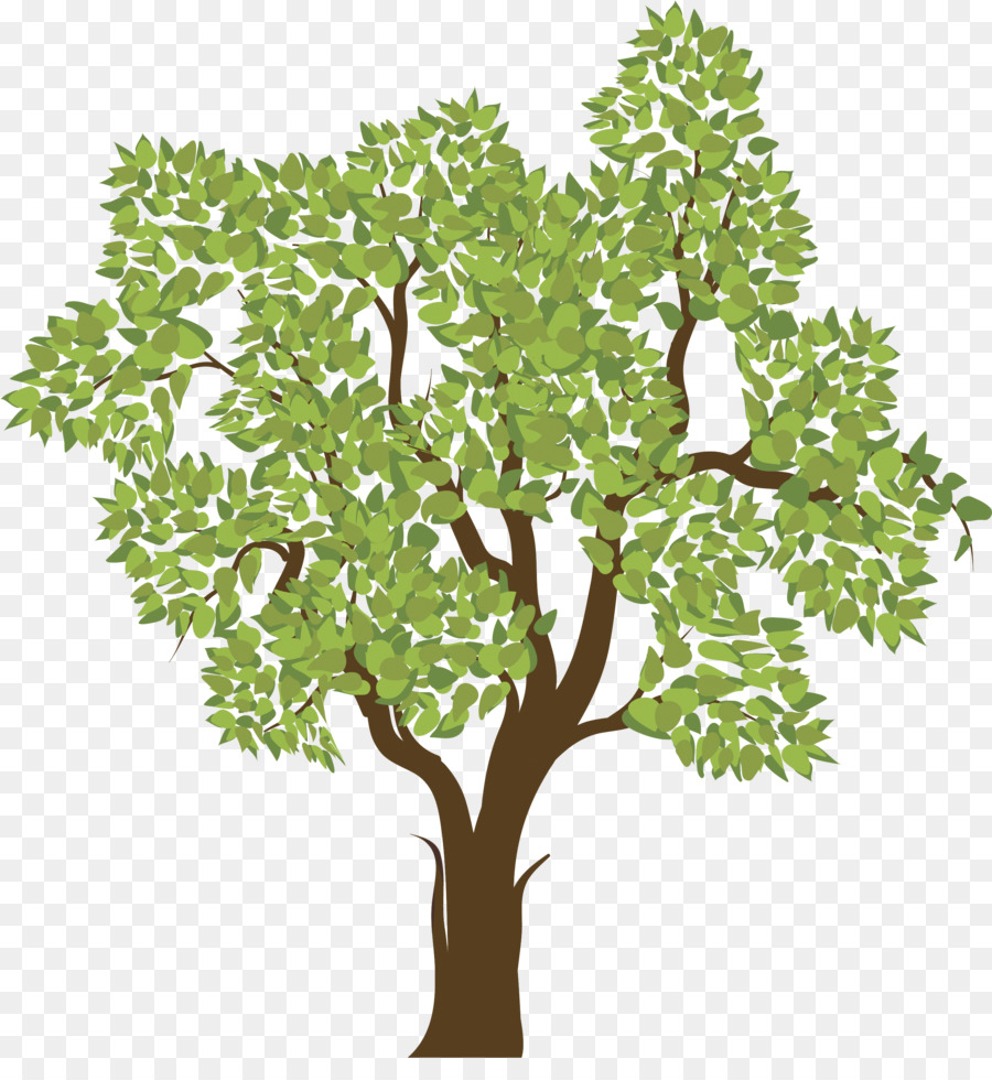 ต้นไม้，วู้ดดี้ต้นไม้ PNG