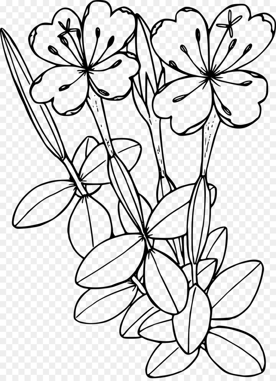 ดอกไม้，วาด PNG