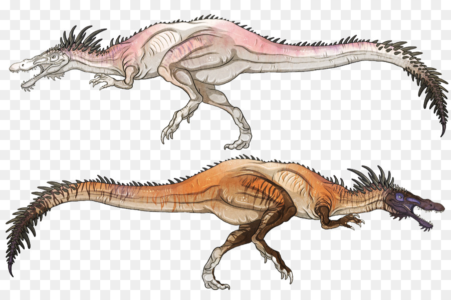 Tyrannosaurus，ไดโนเสาร์ PNG