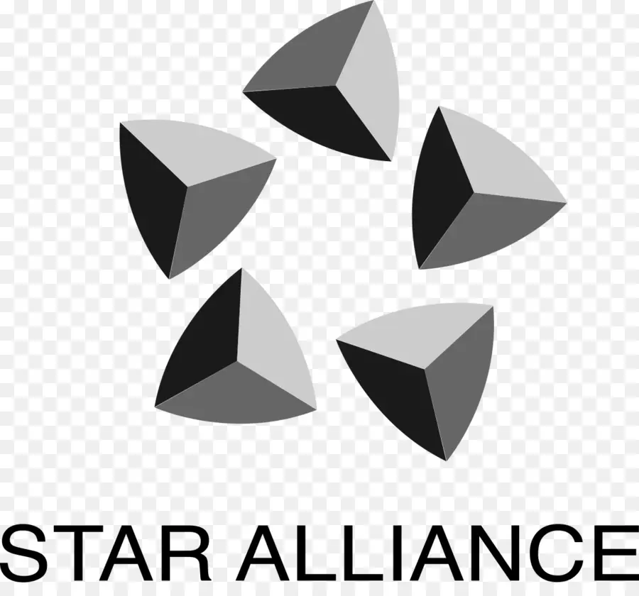 โลโก้ Star Alliance，สายการบิน PNG