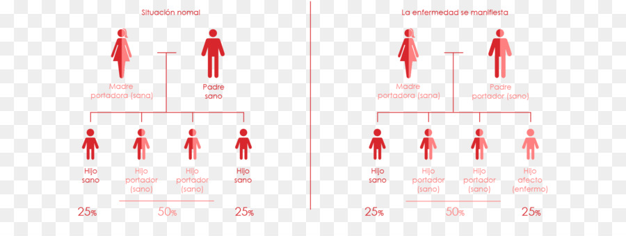 แบรนด์，แผนผังให้นายดูได้นะ PNG