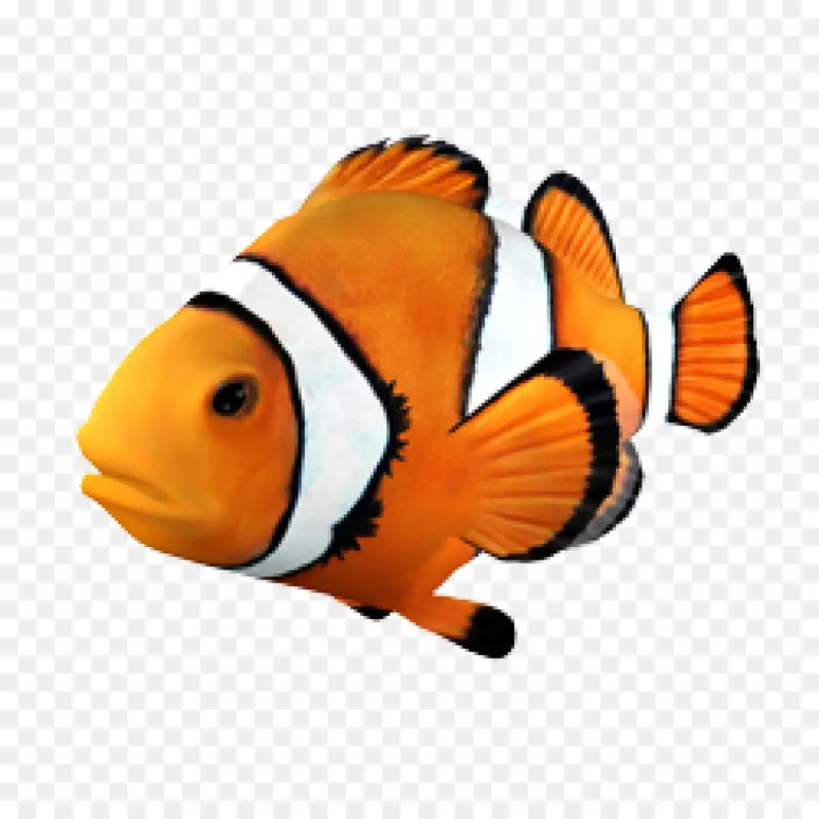 ปลา，ตัวปลาทอง PNG