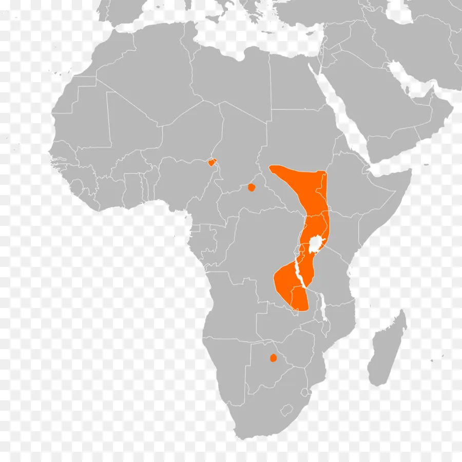 แผนที่แอฟริกา，ประเทศ PNG