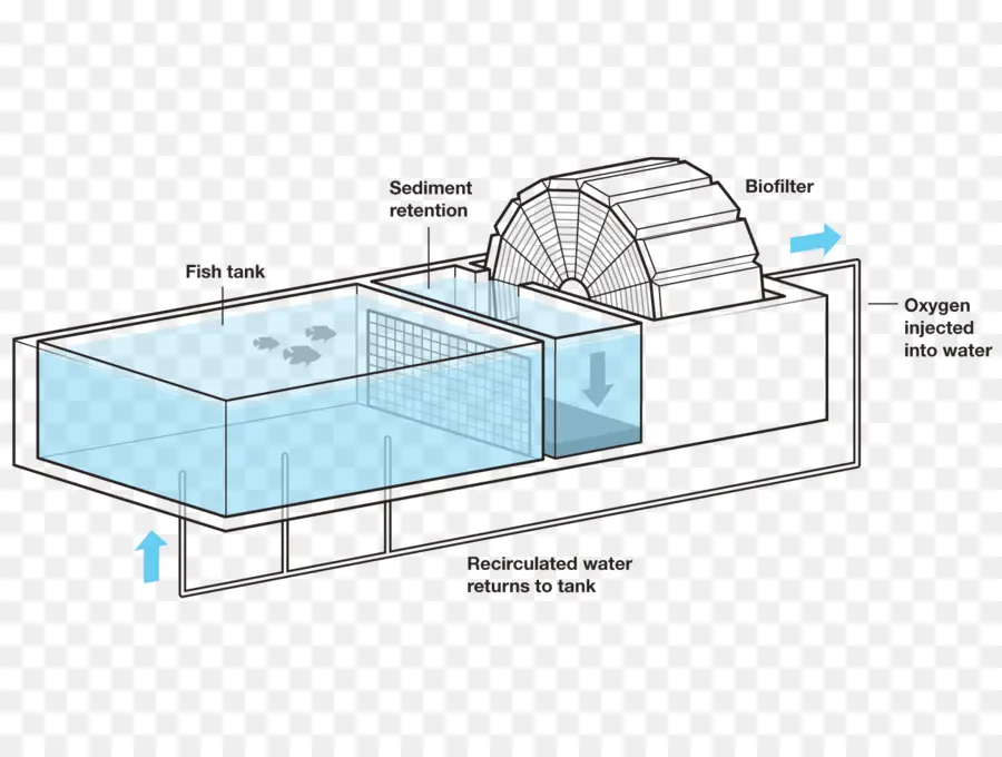 ระบบ Aquaponics，ตู้ปลา PNG