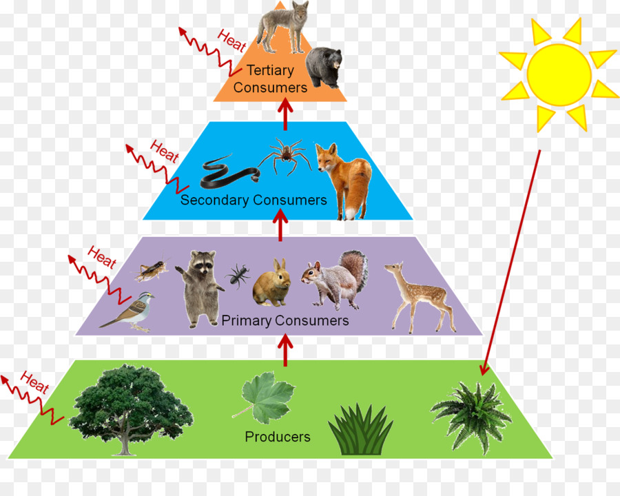 trophic-png-png-trophic